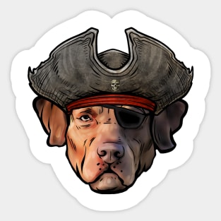 Chesapeake Bay Retriever Pirate Sticker